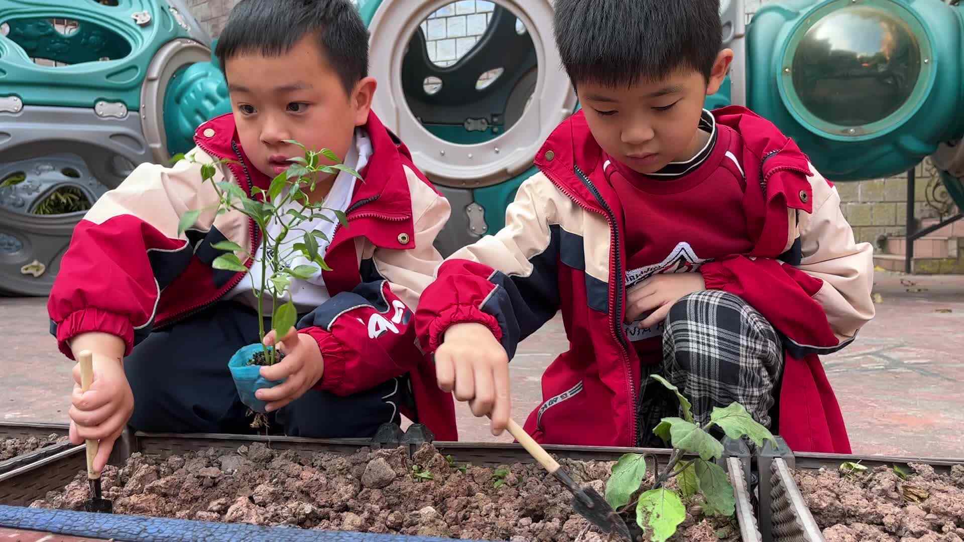 ⁣⁣⁣⁣⁣实验1班-赵航毅、罗皓辰植树节活动