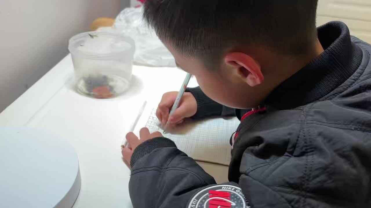 2026.3.18大A班刘奕宸练习数字4.mp4