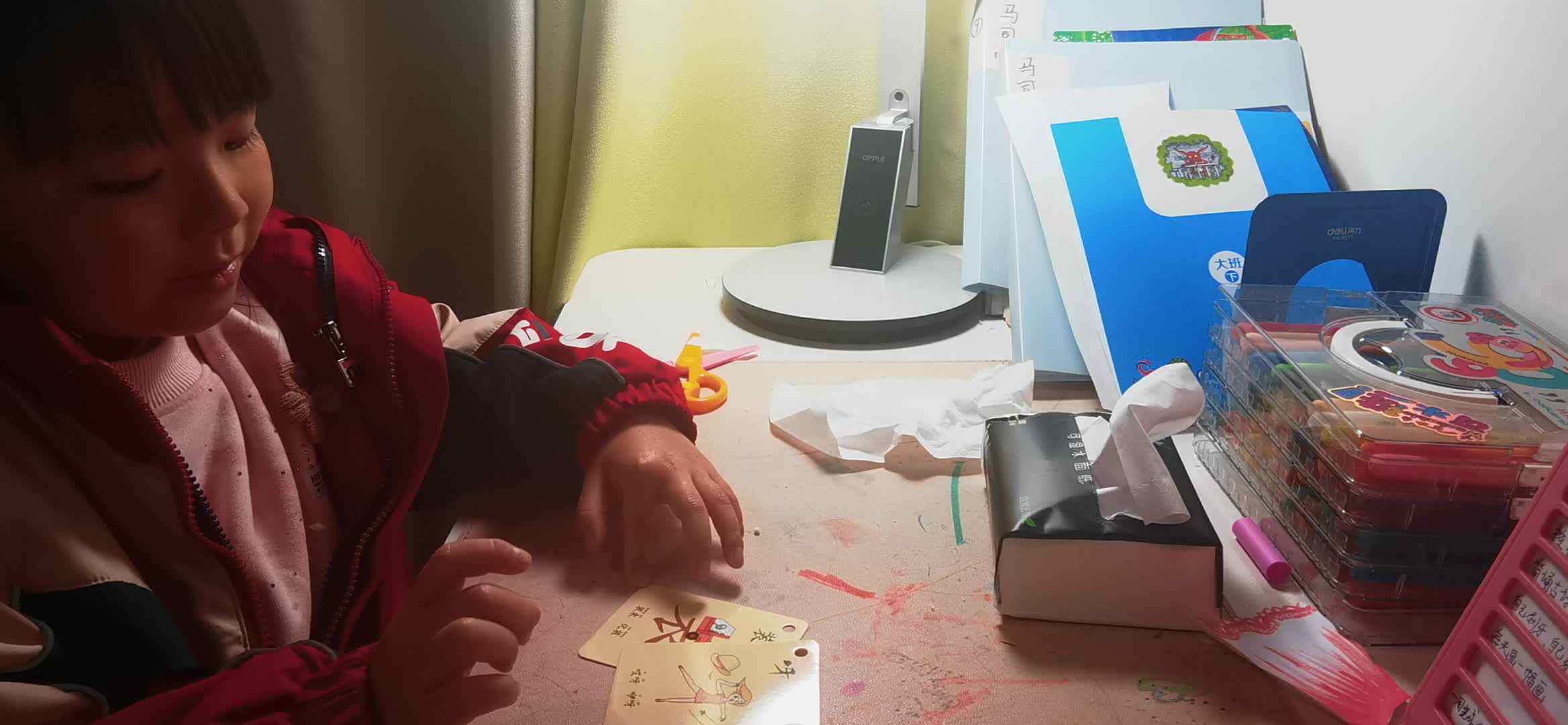 实验大班马司雨复习字卡