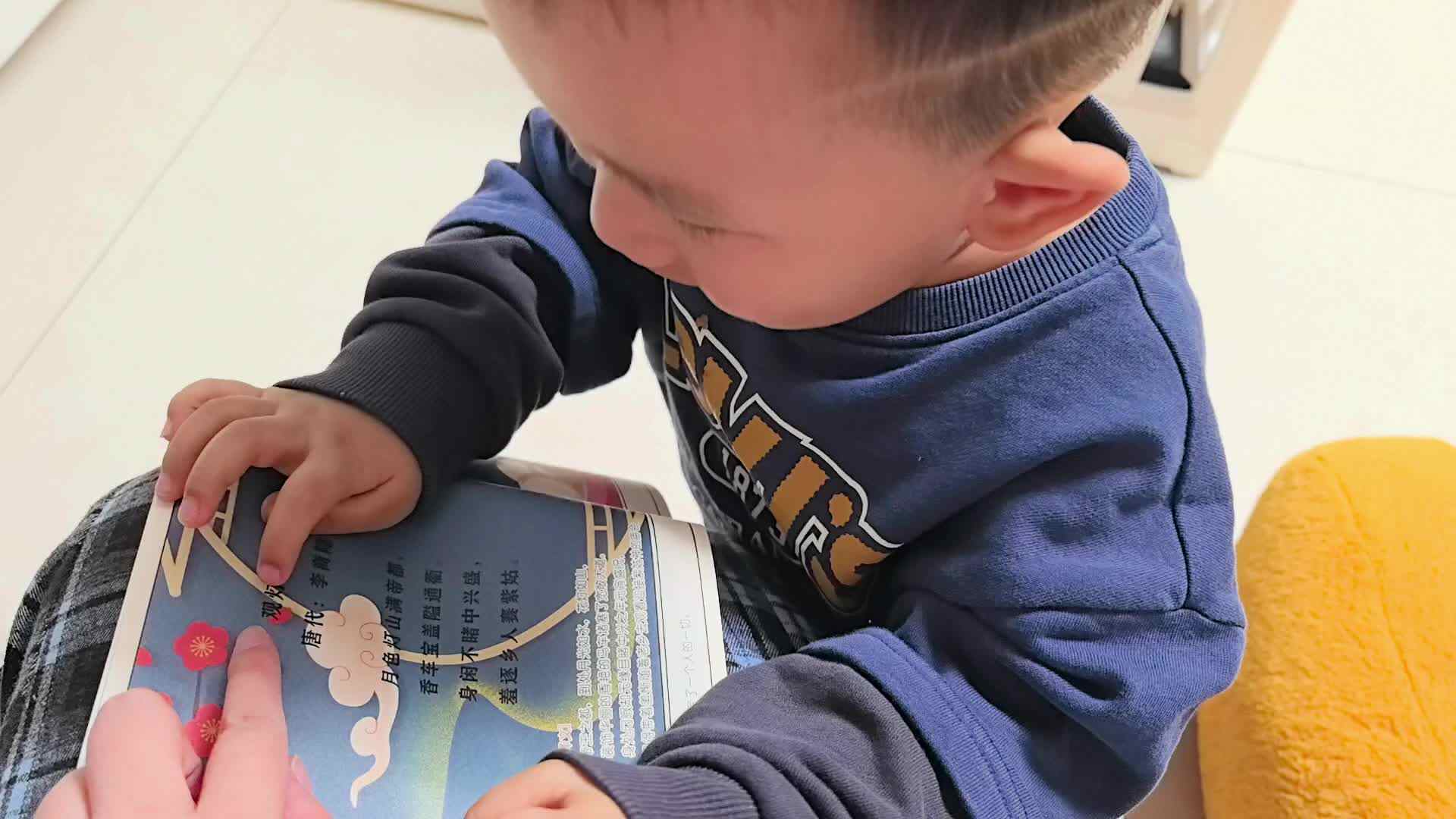 2026年03月12日张禹洋指读《观灯乐行》.mp4