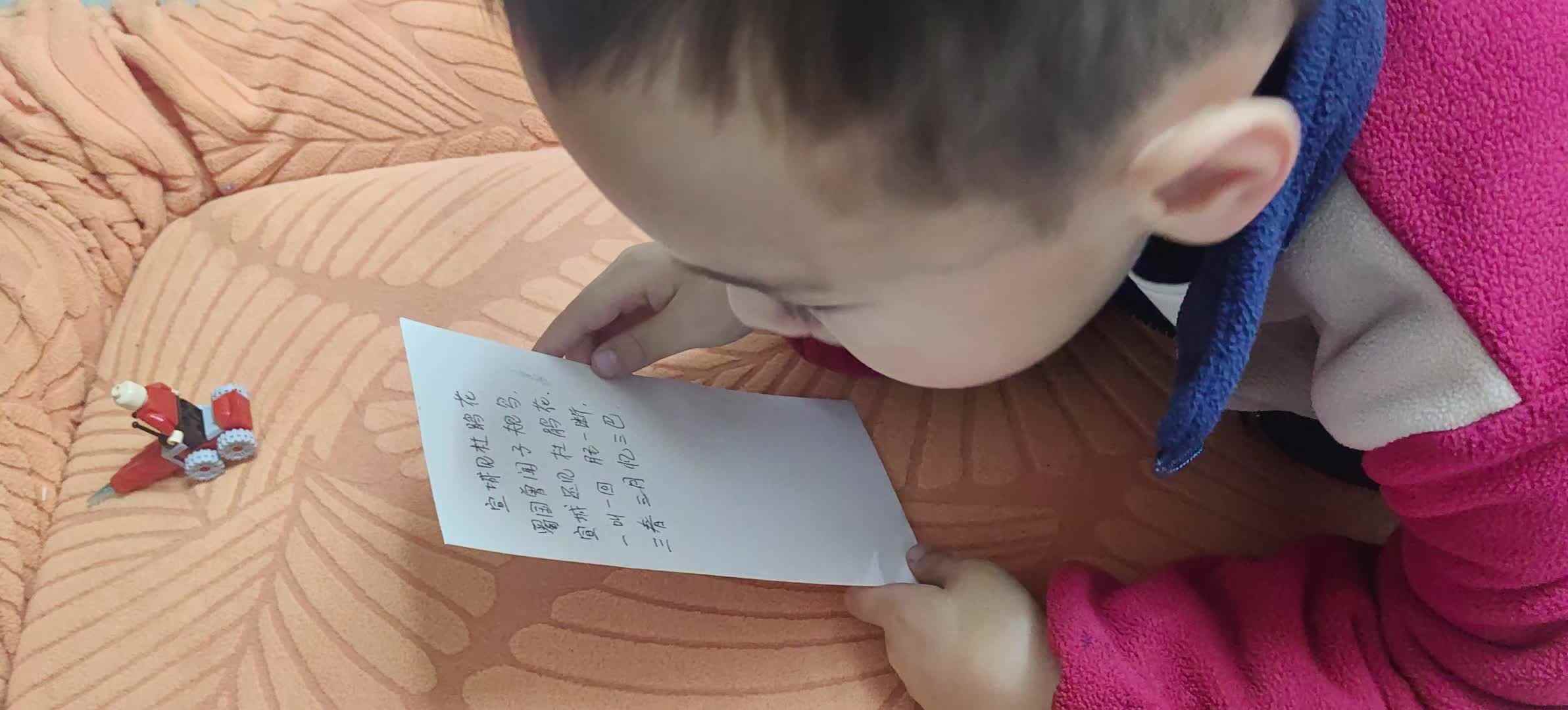 2026.3.17 中A班 刘逸一《宣城见杜鹃花》.mp4