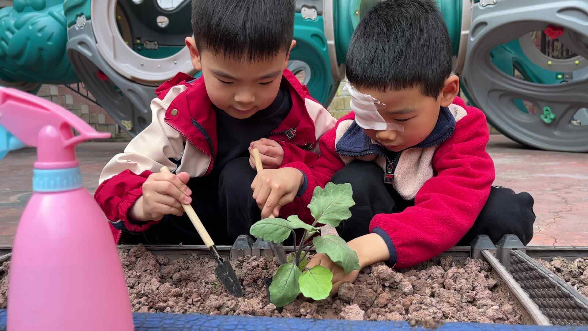 ⁣实验1班-徐梓图、黄初然植树节活动
