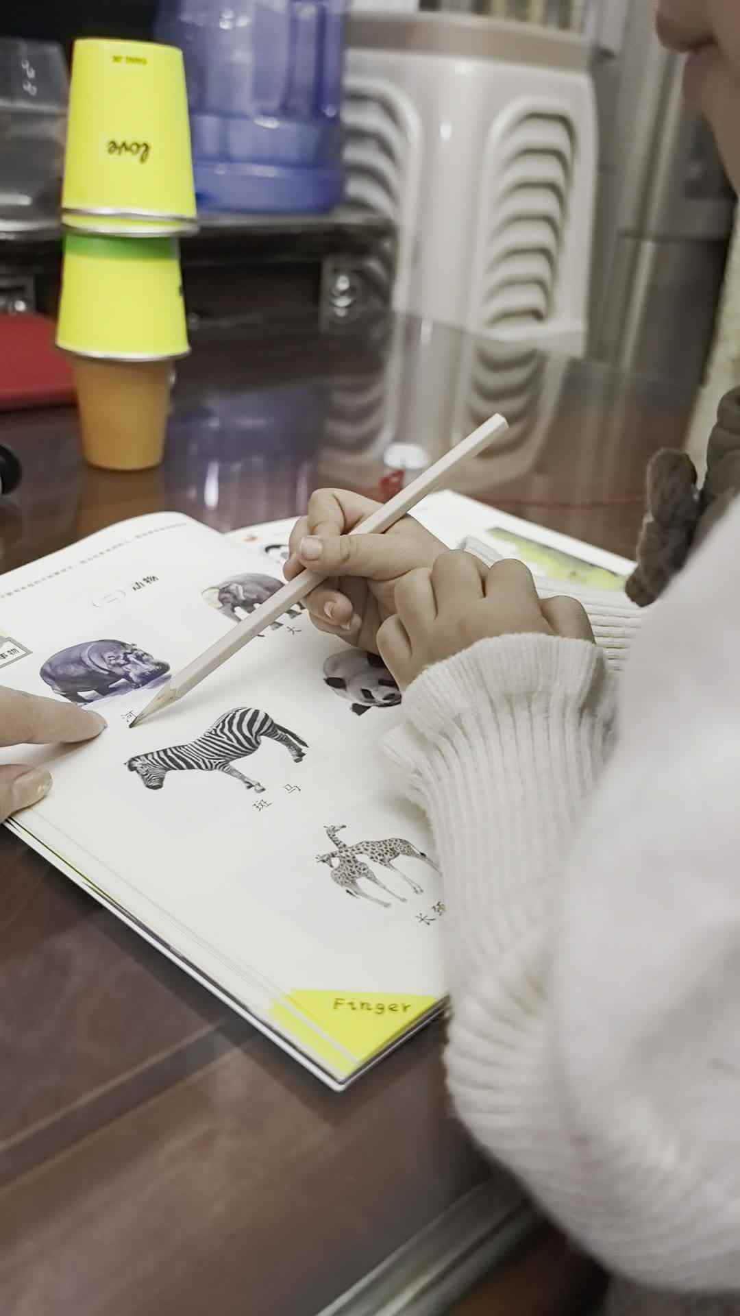 2026.3.30谭婼兮指读《动物》家庭闯关练习