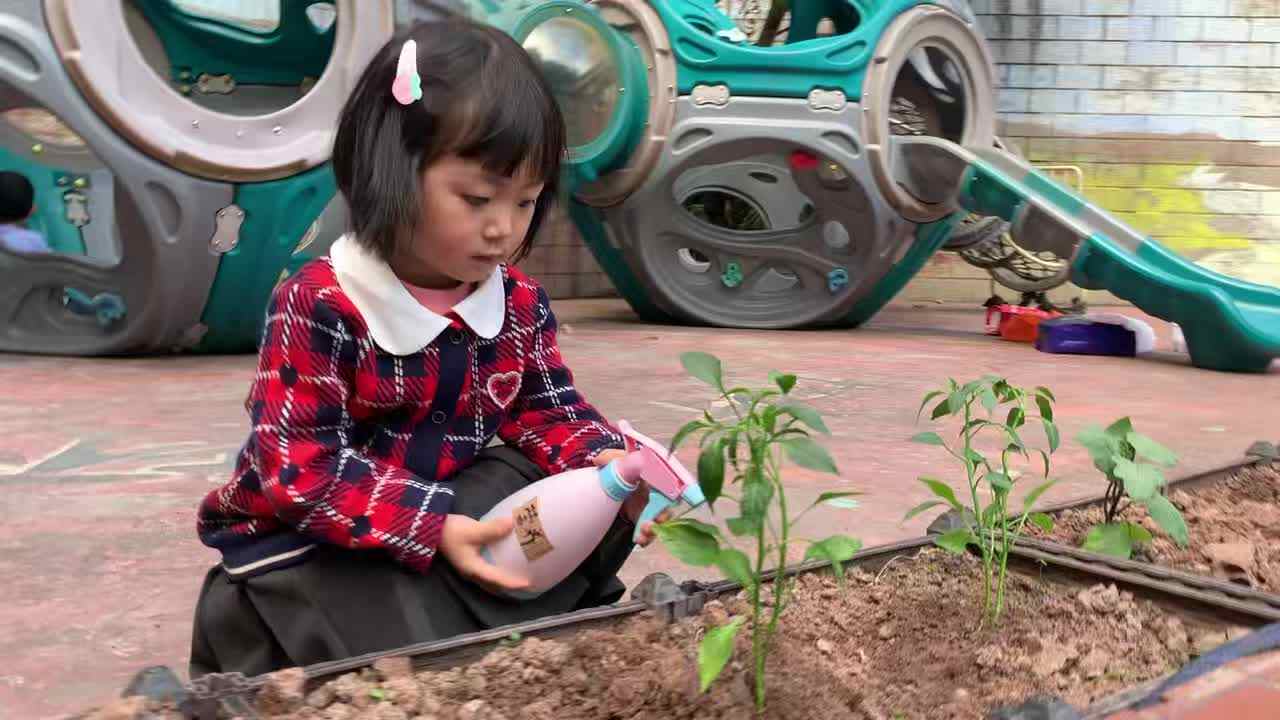 2026.3.12罗梓晴《植树节》