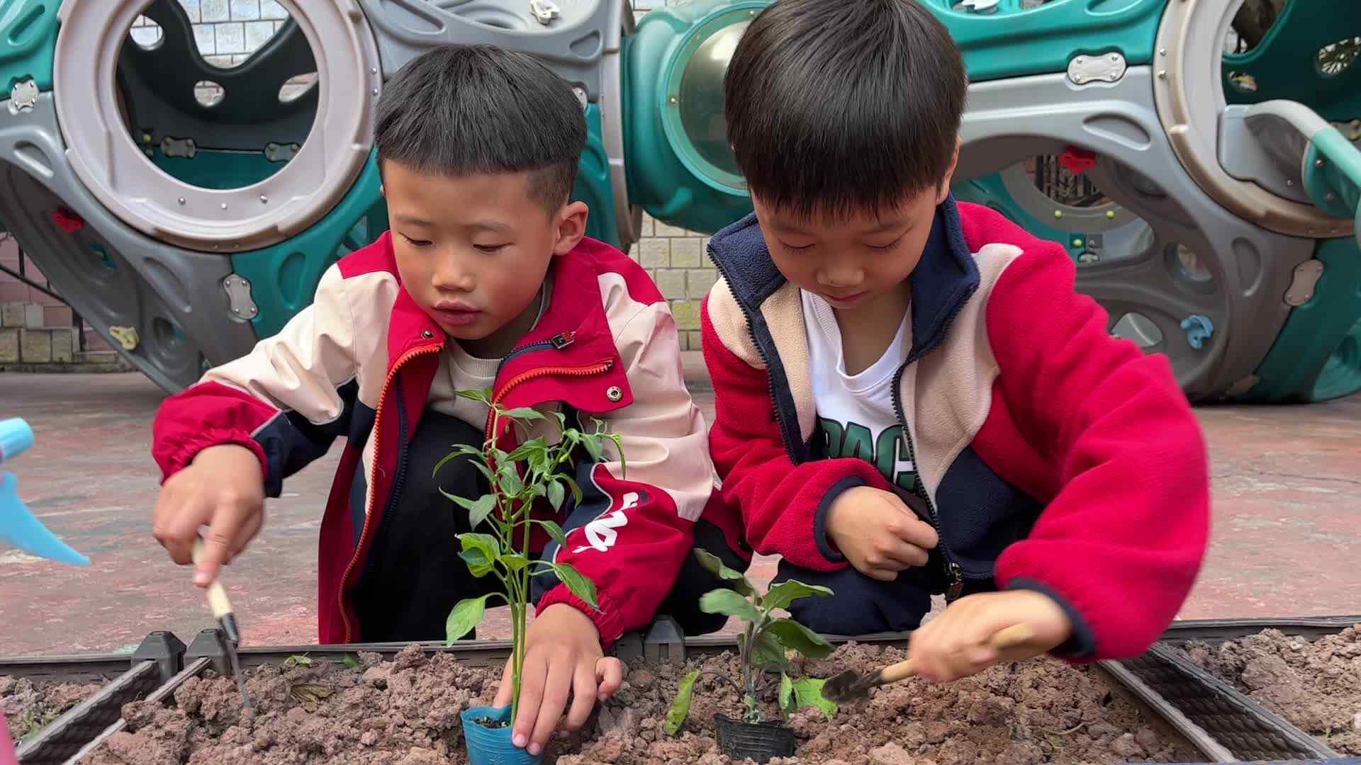 ⁣⁣⁣⁣实验1班-刘沈潇、胡宸瑞植树节活动