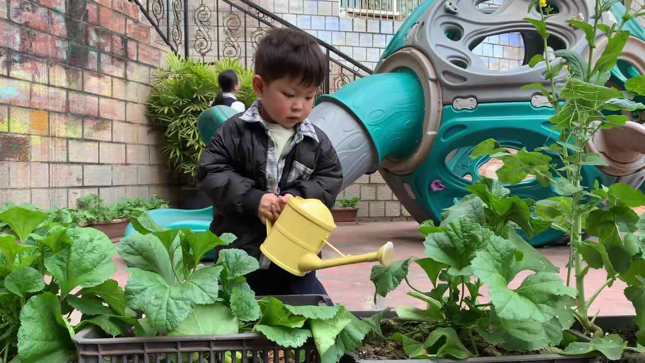 2026.3.12  黄钇然 《植树节》活动