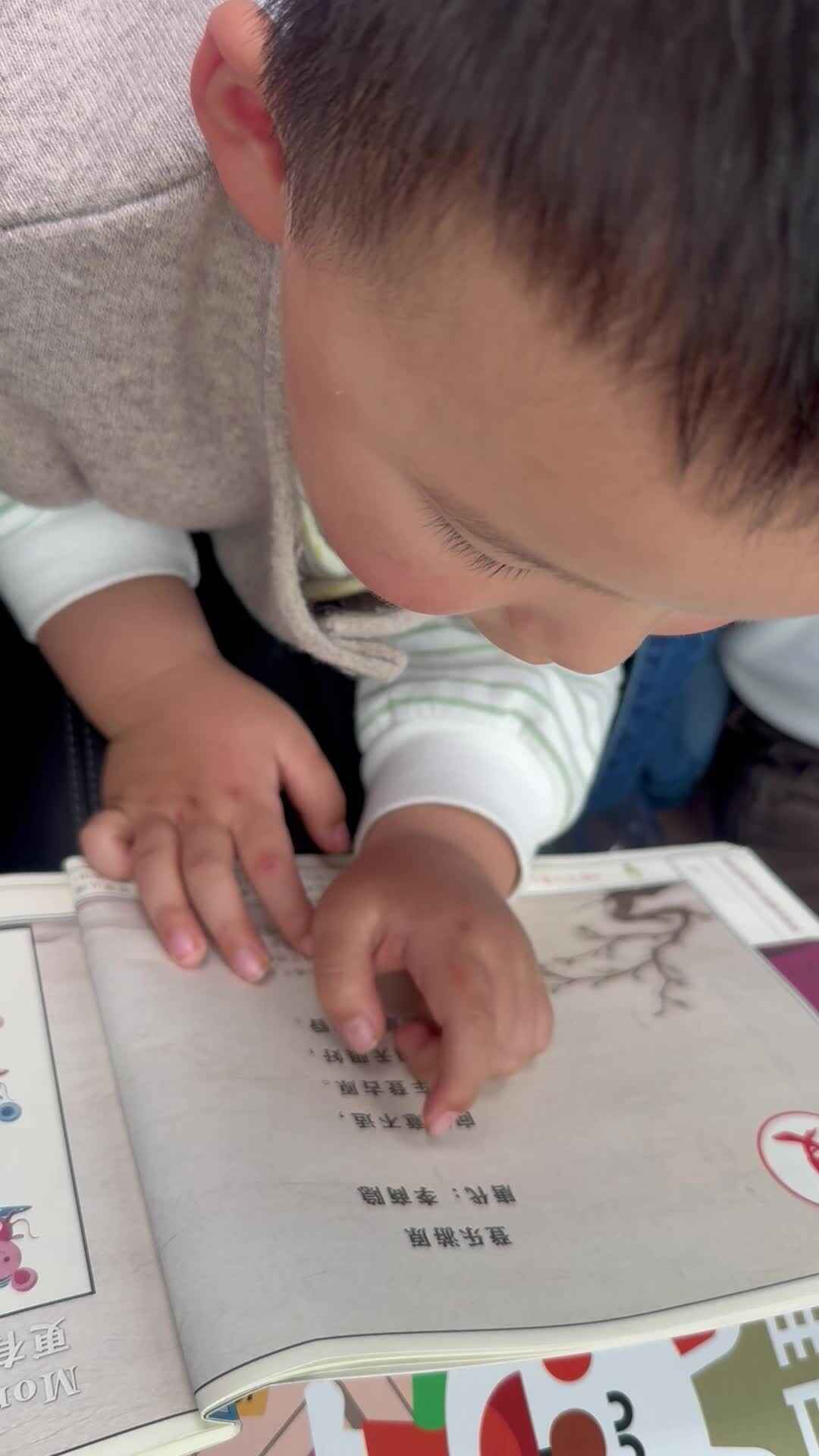 实验小班3号谢缙宇