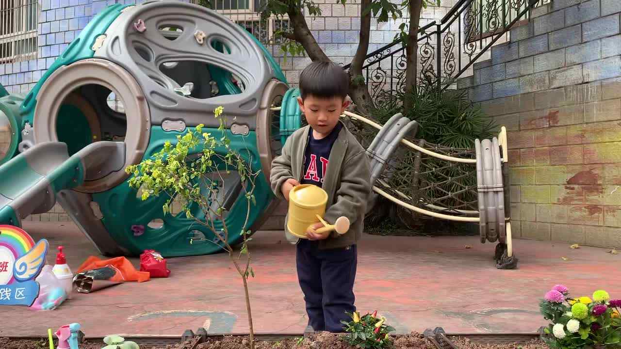 2026.0312《植树节》