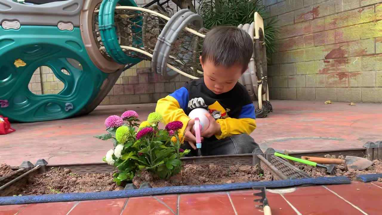 2026.3.12-左左-植树节