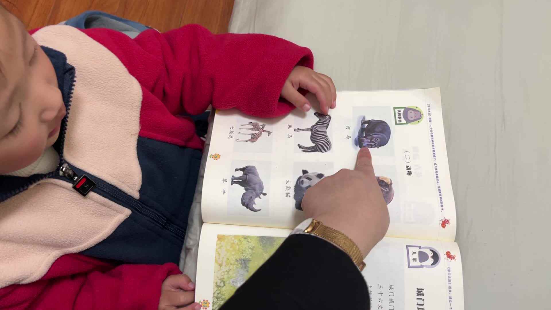 2026.3.30实验小班 陈舒梦 语言指读