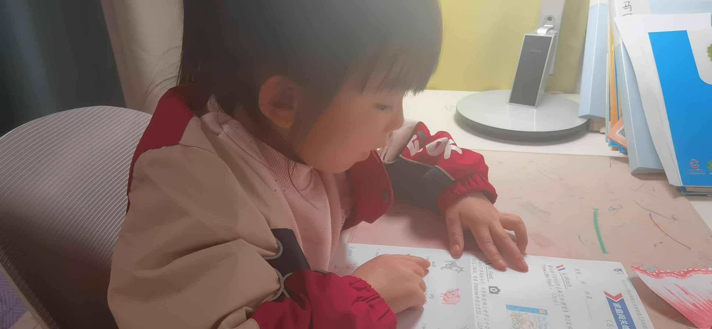 实验大班马司雨复习英语