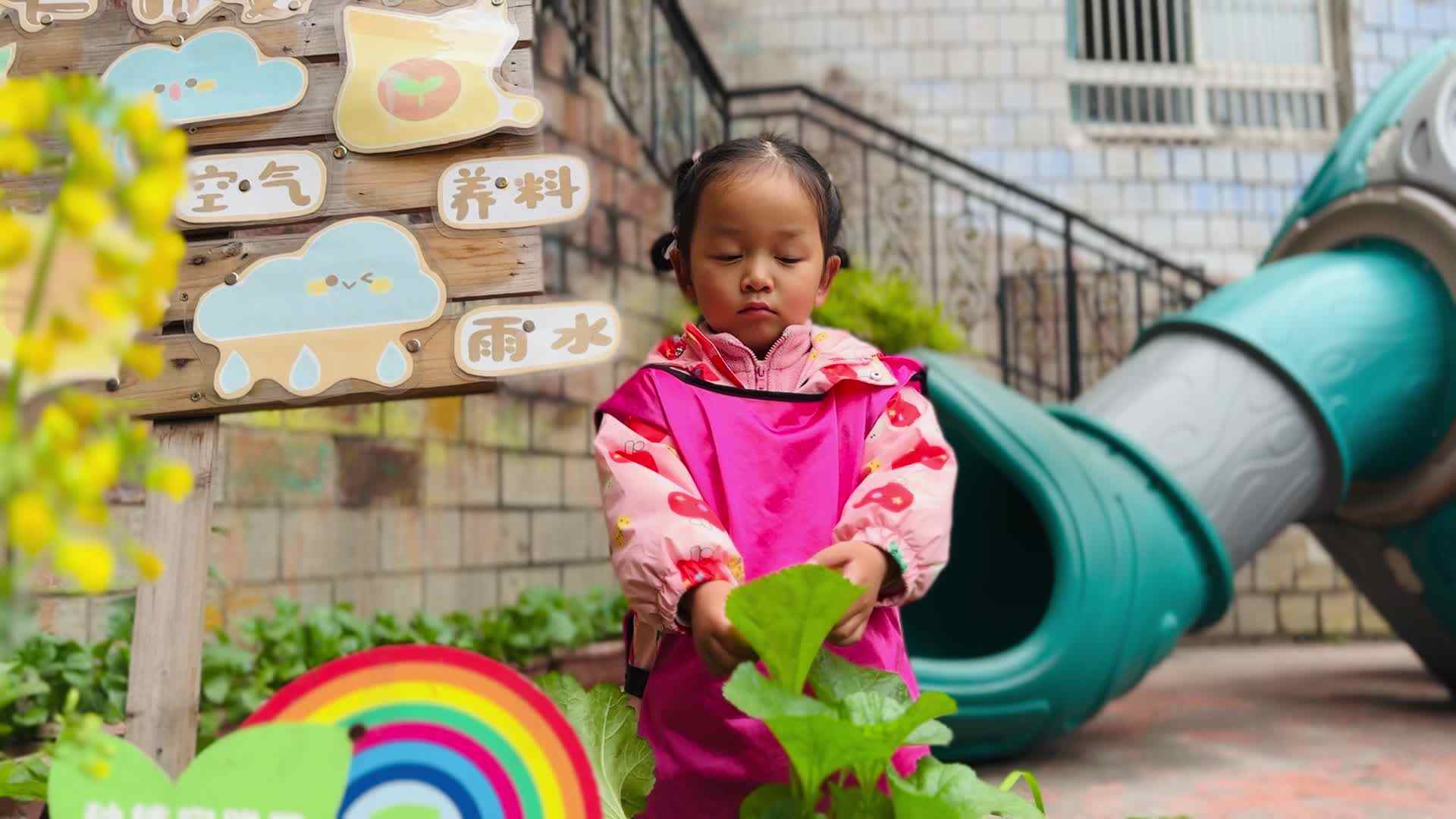 2026.3.5中A班余年年—植物区观赏