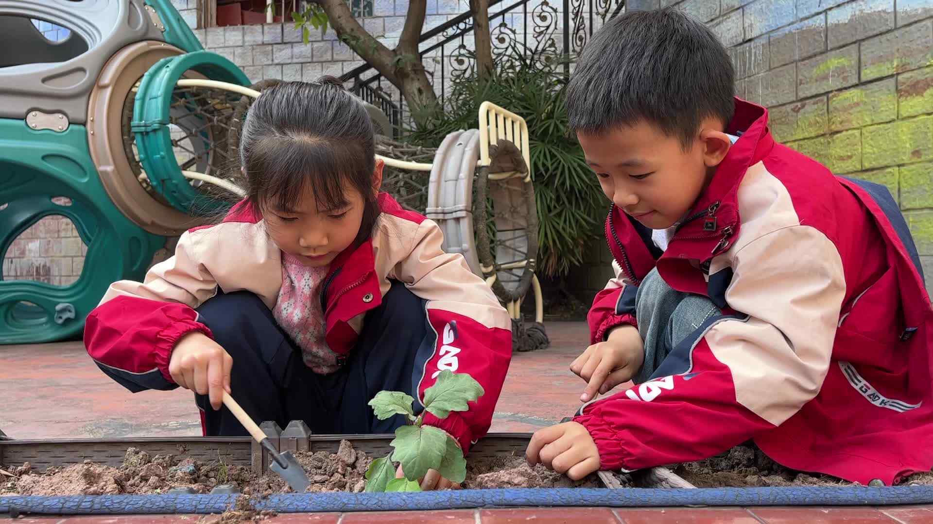⁣⁣实验1班-张嘉芮、崔祺然植树节活动