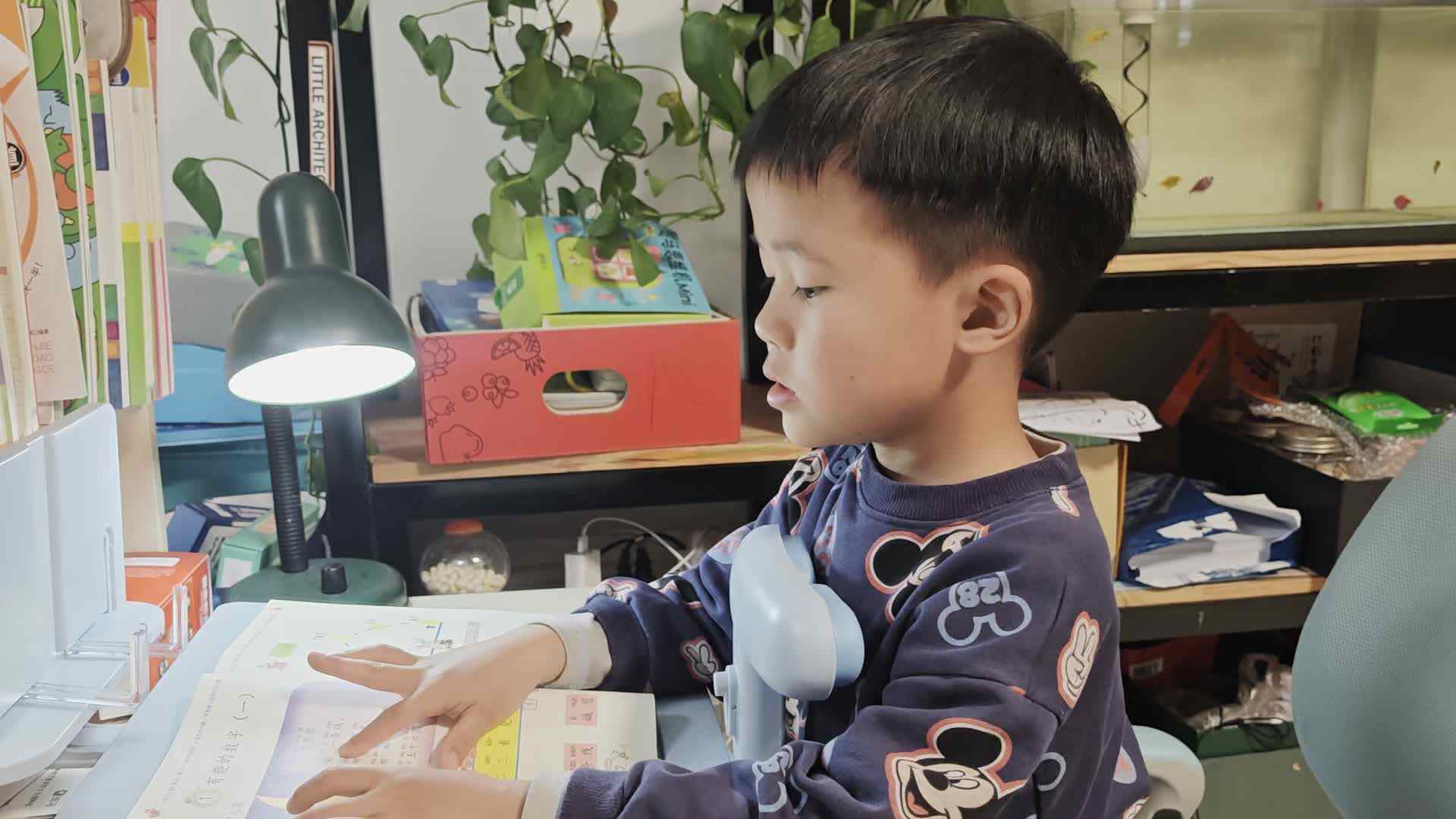 VID_20260312_182921.mp4