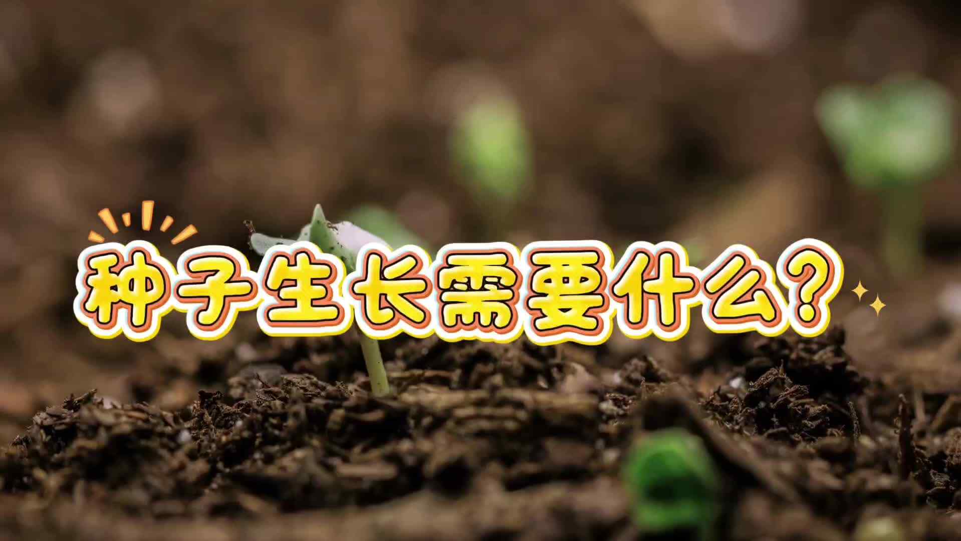 3.10  黄芮晞  回答问题
