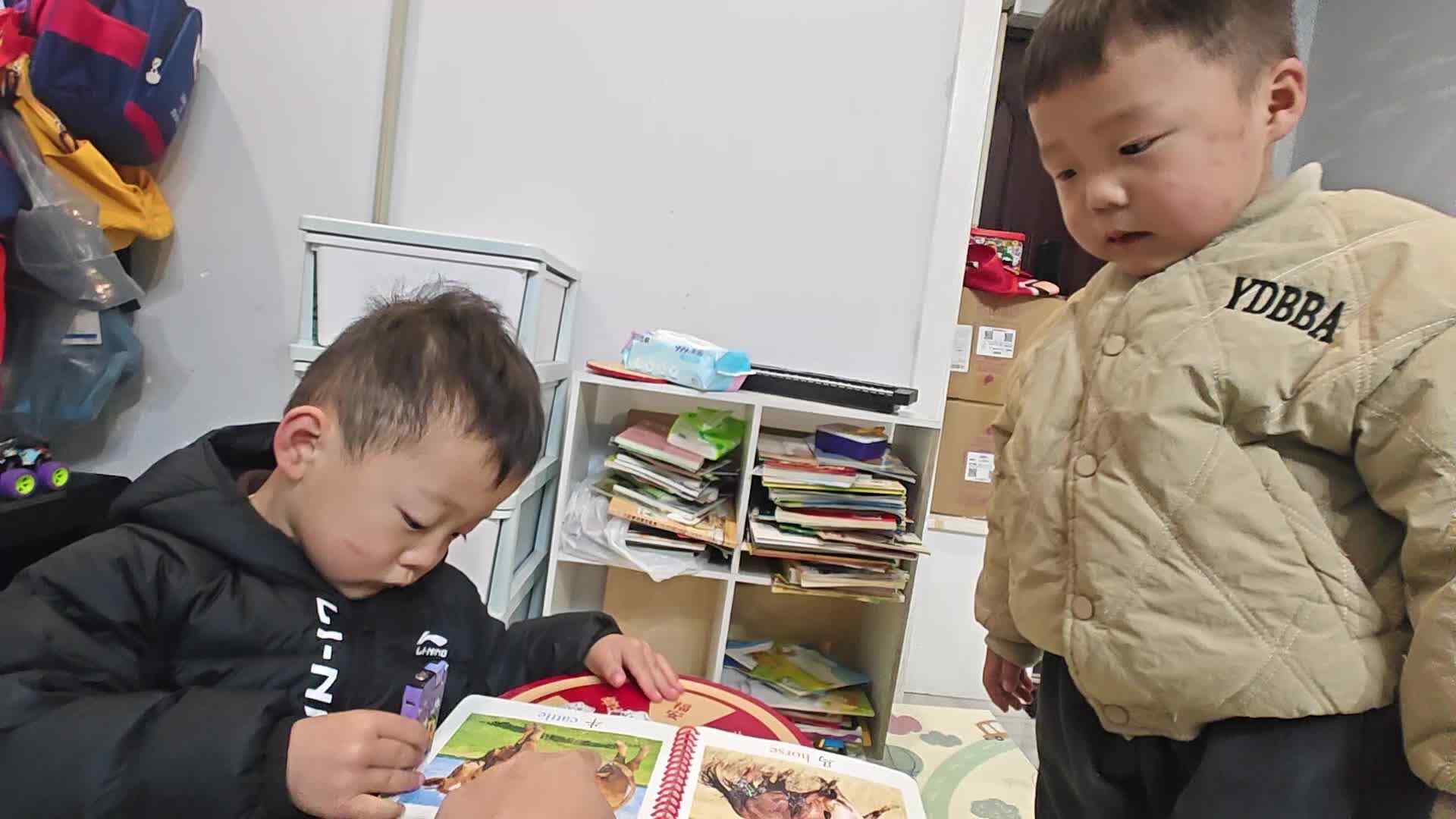 2026 3 15 刘佳铭《认识动物》练习