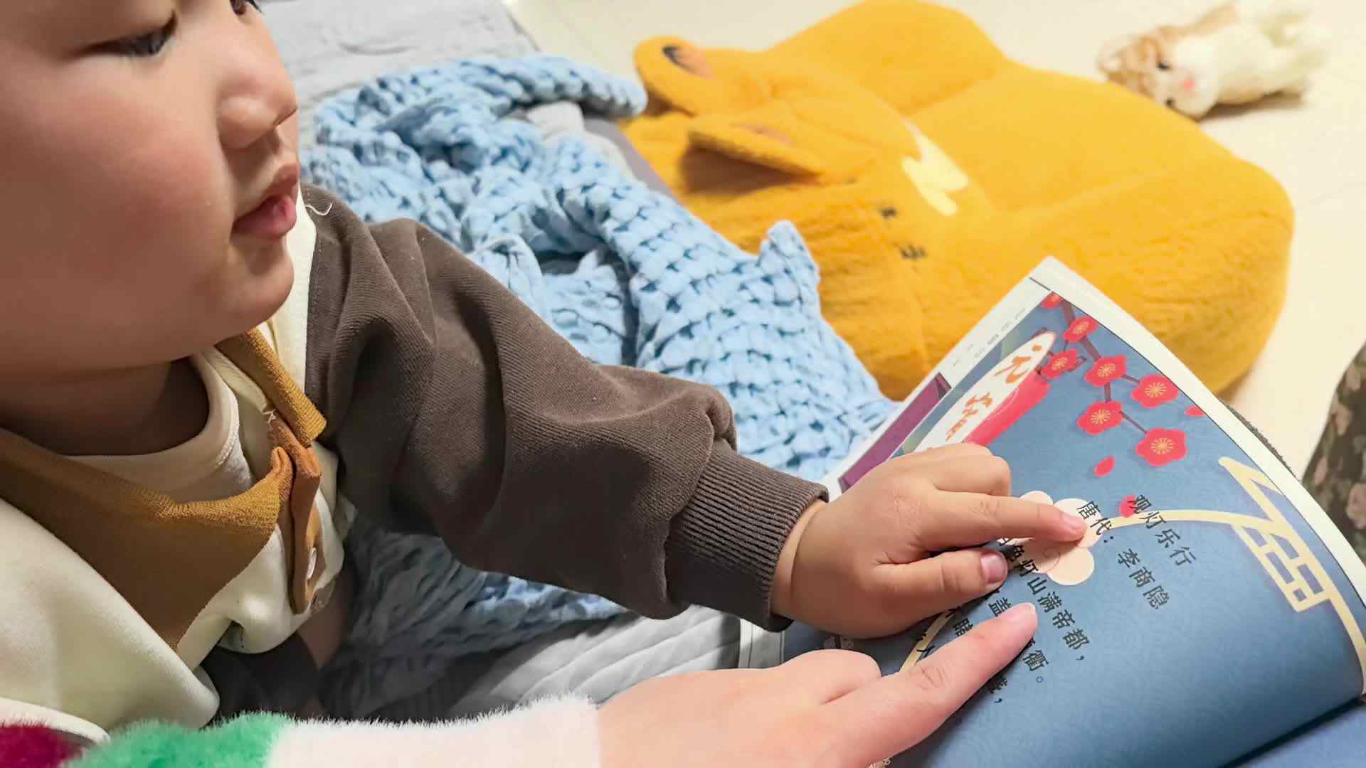 2026年03月11日张禹洋指读《观灯乐行》.mp4