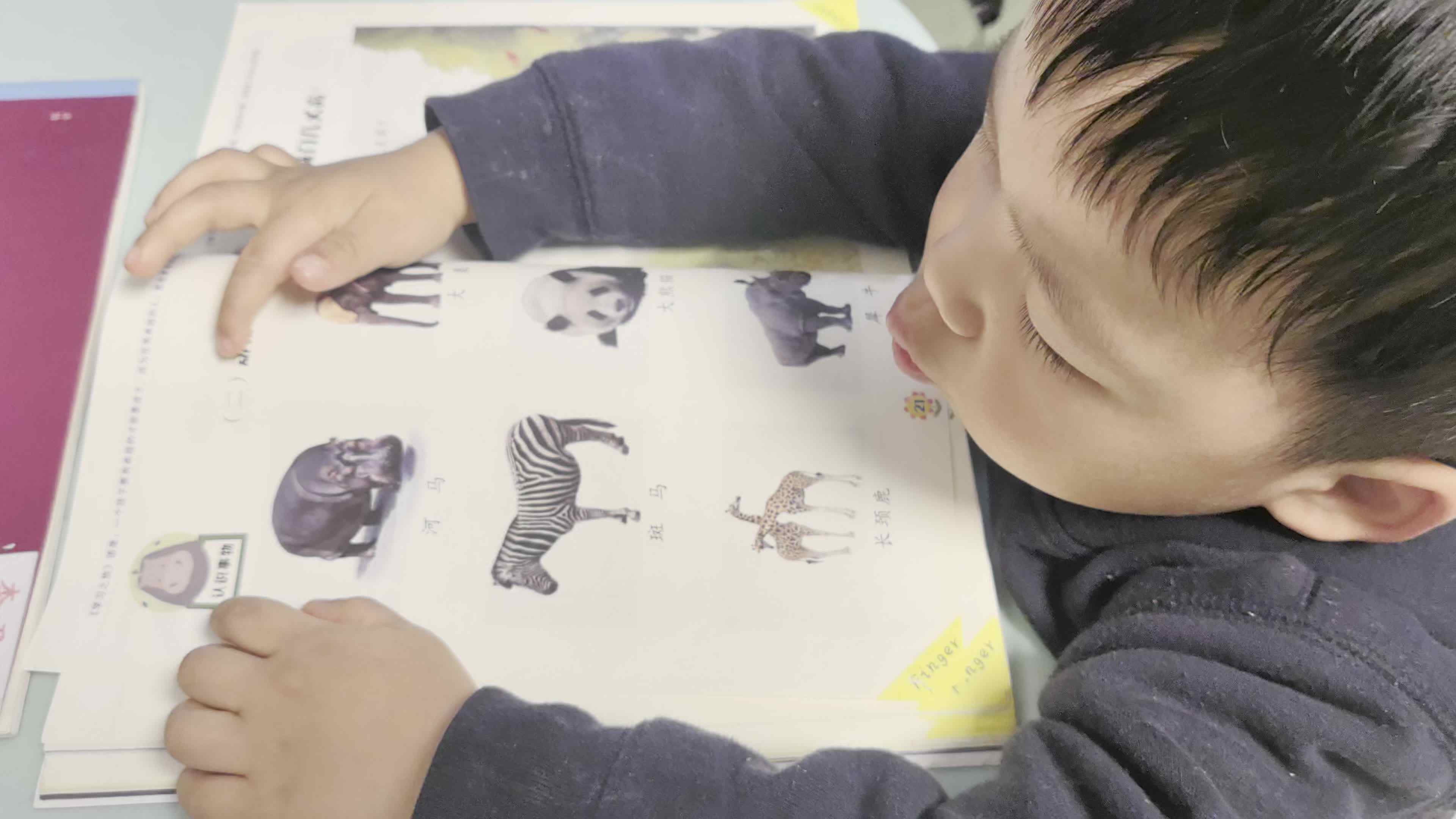 2026.3.30 李君祁 指读《动物》家庭闯关作业