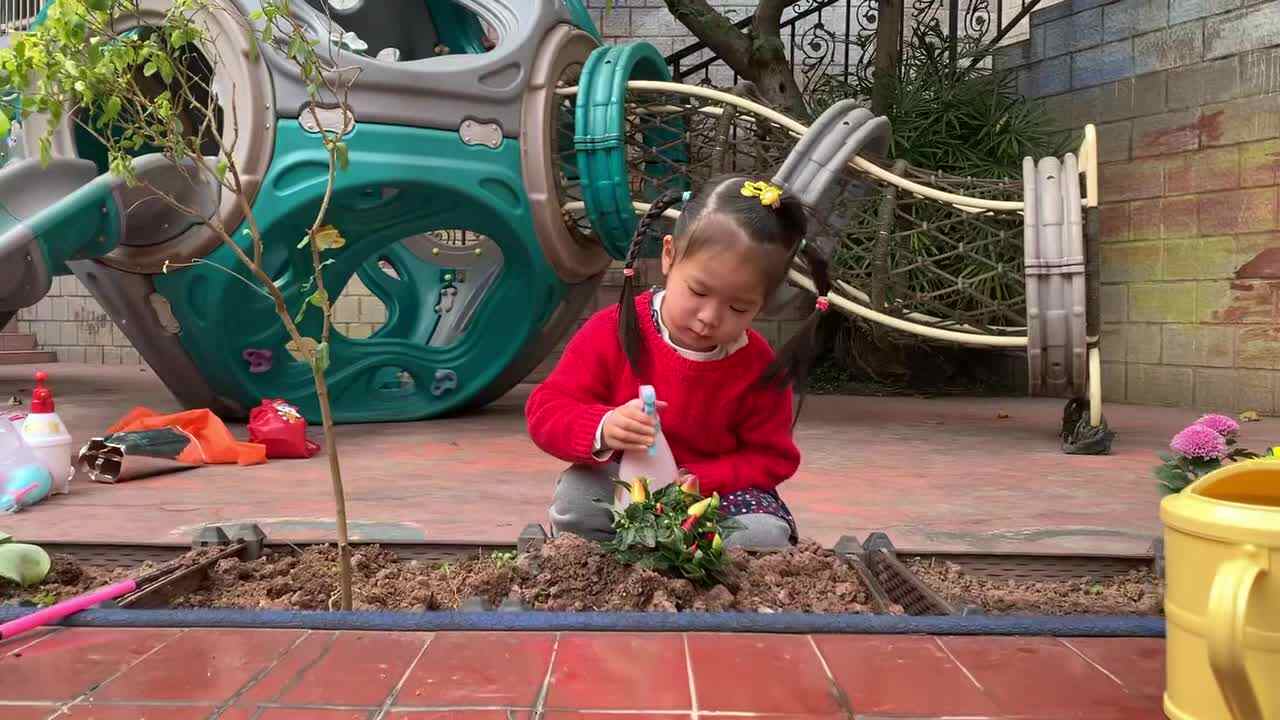 ⁣2026.3.12.李佳彤《植树节》