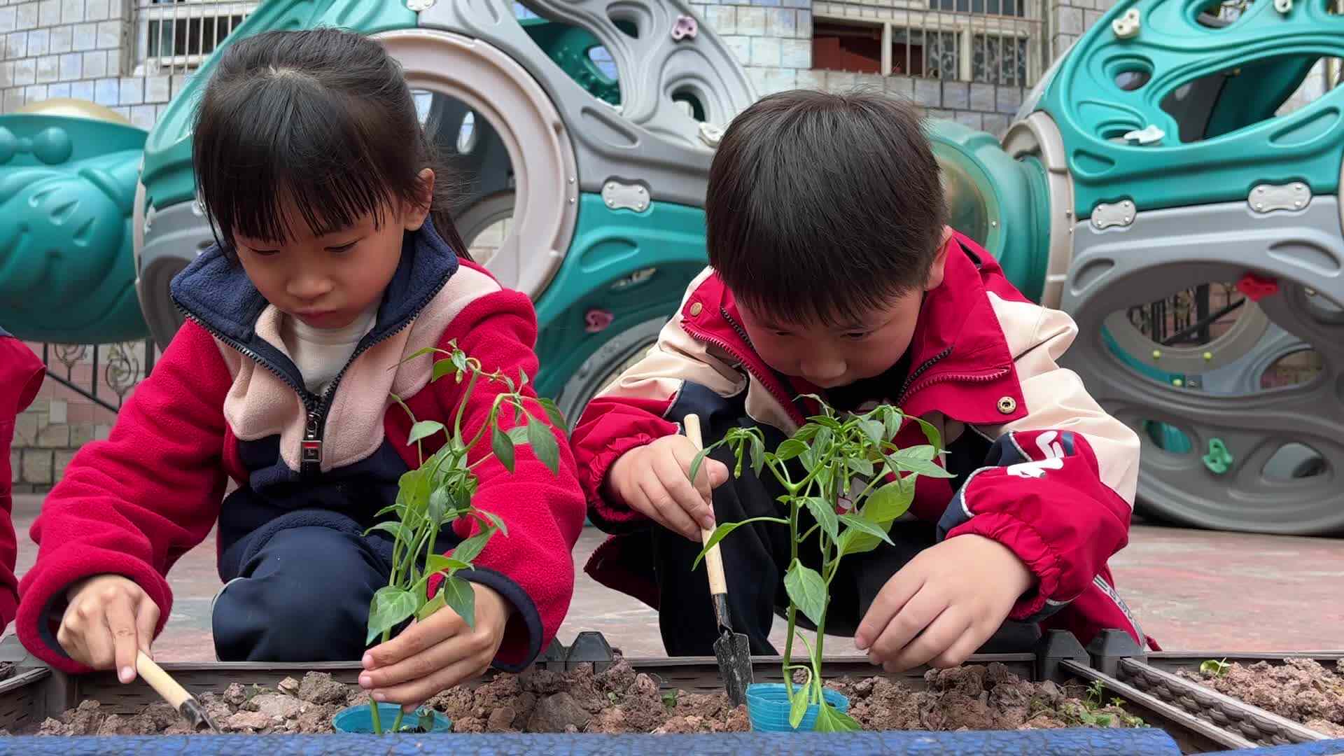 实验1班-张智林、刘姿汐植树节活动