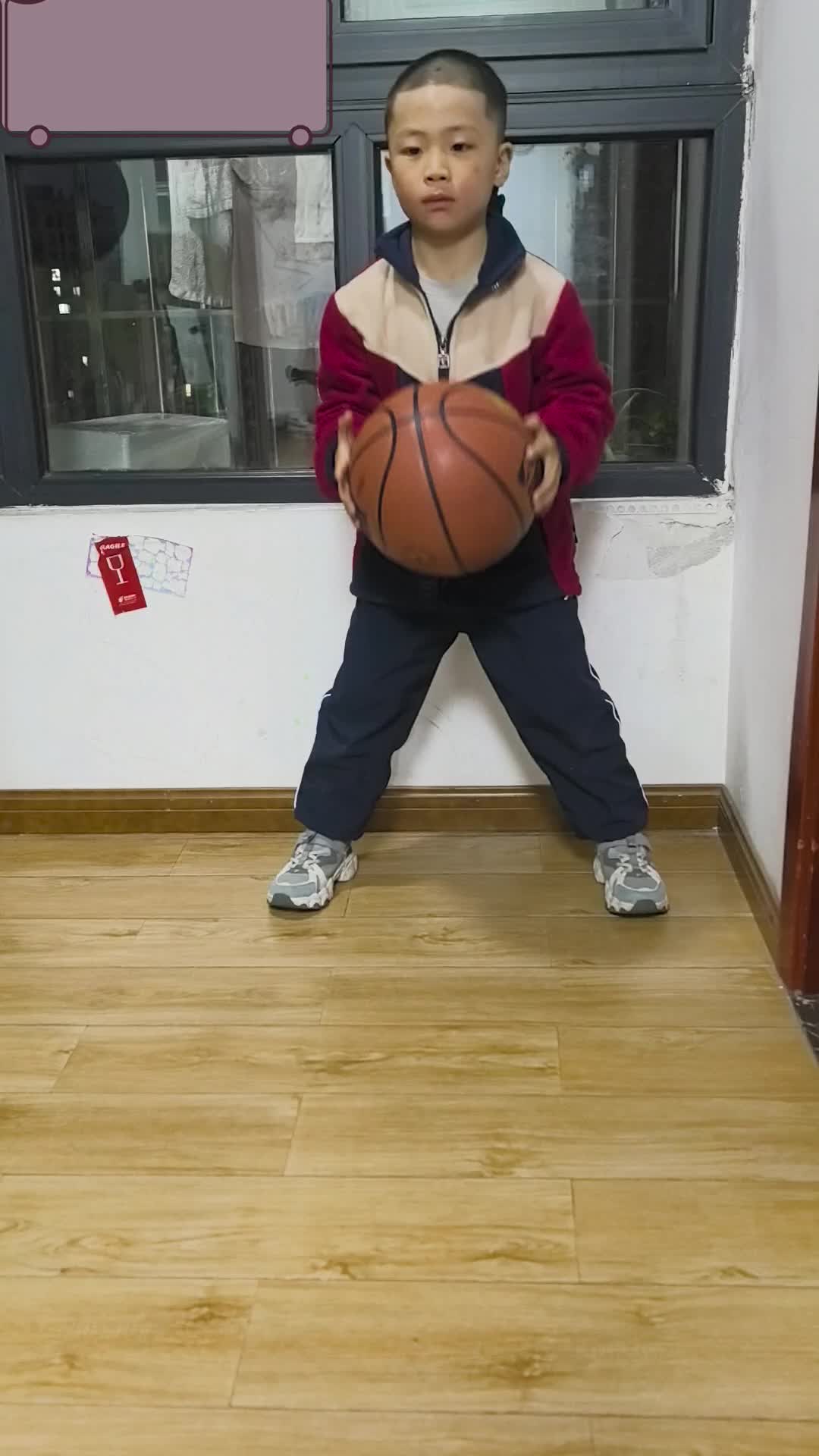 petal_20260310_200002.mp4