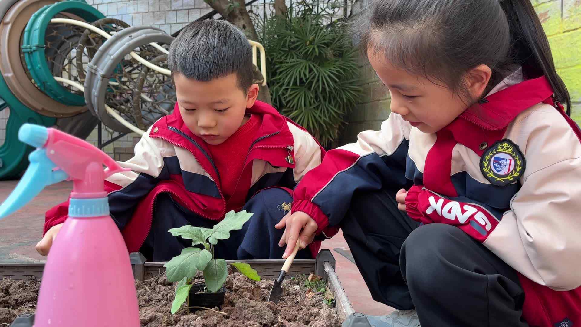 ⁣⁣实验1班-曾靖博、乔钰菲植树节活动