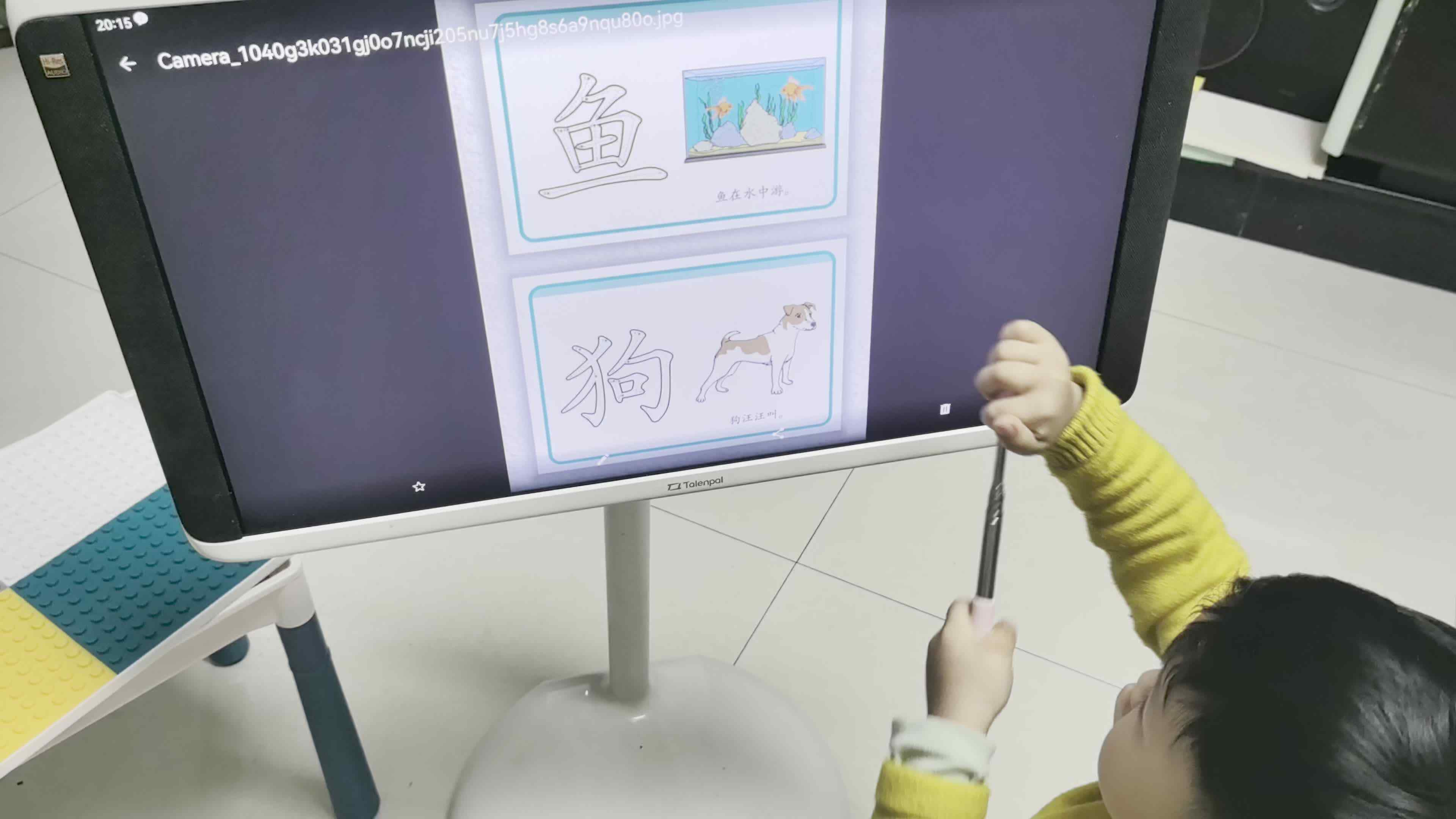 2026年03月20日李君祁识字《狗和羊》家庭闯关练习
