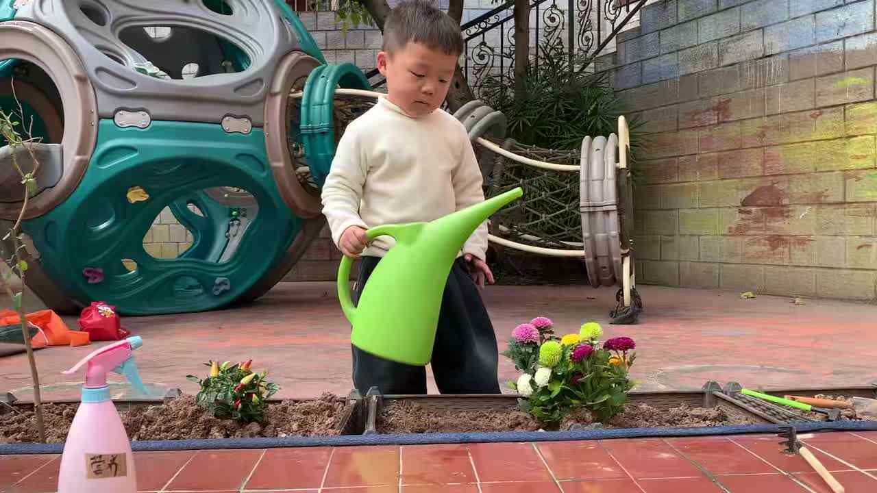 2026 3 12 刘佳铭《植树节》活动