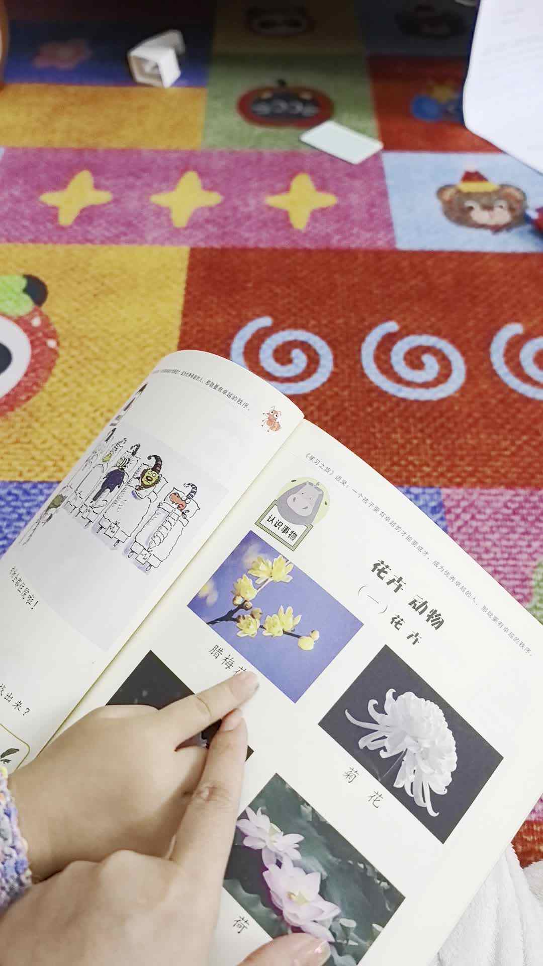 2026.3.27谭婼兮认识《花卉》家庭闯关