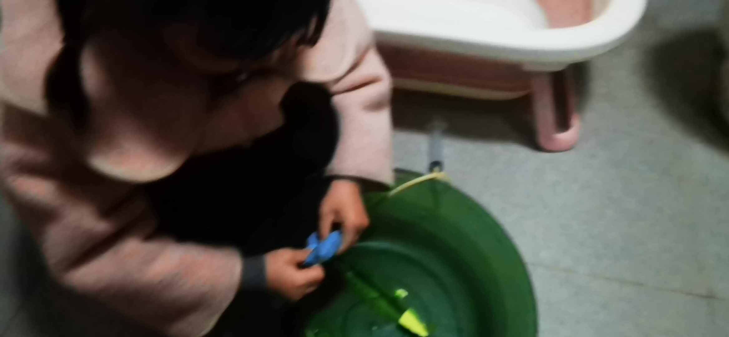 实验大班马司雨分享实验