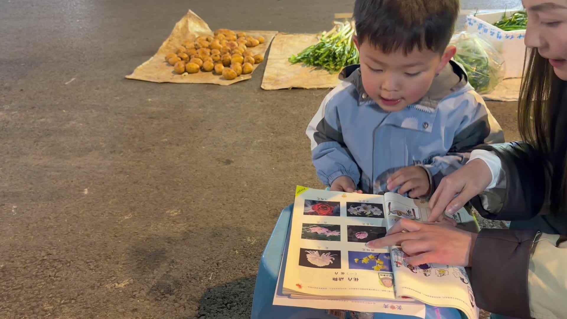 2026年3月27日   黄钇然    指读认识《花卉》家庭闯关练习