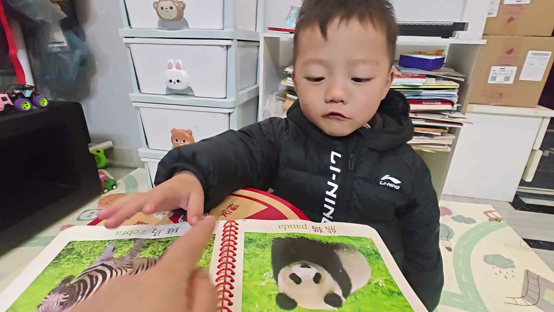 2026 3 15 刘佳锐《认识动物》练习