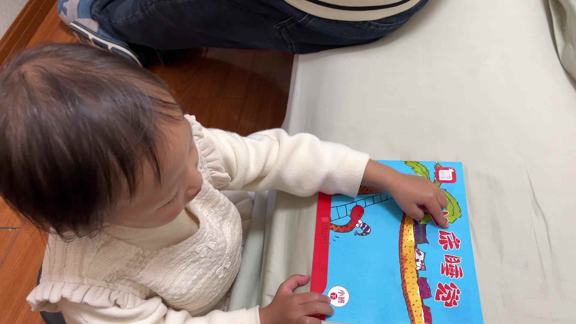 2026.3.31实验小班 陈舒梦 绘本指读