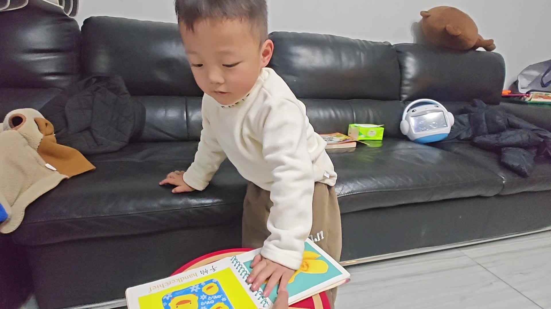 2026 3 10刘佳锐《认识颜色》