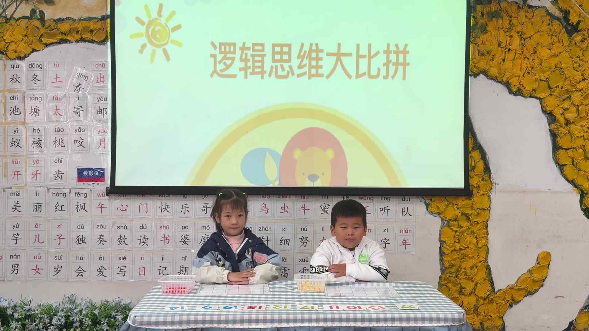 2026.3.20 实验大班 陈锦汐、付康岐——数物对应