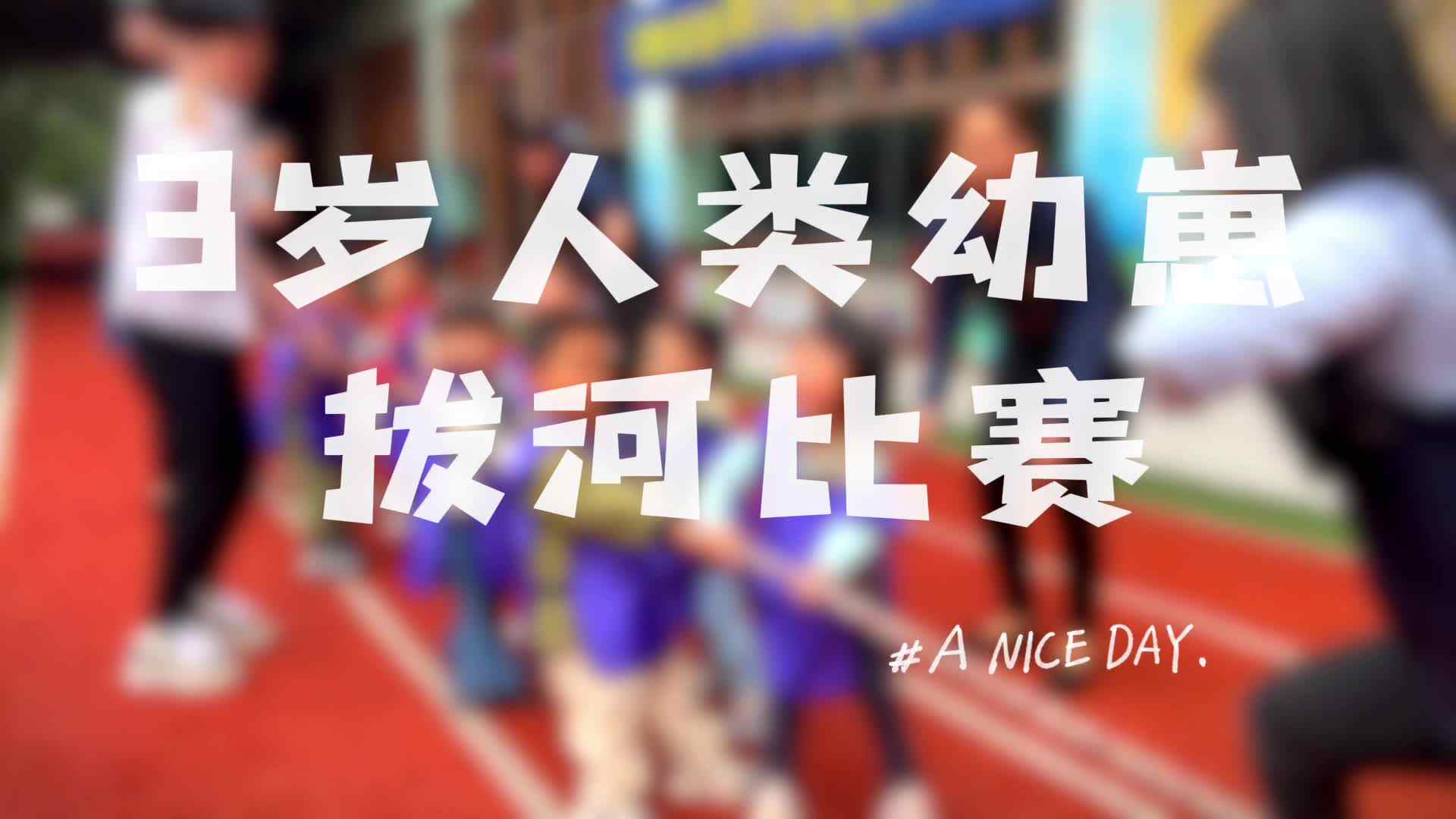 人类幼崽的拔河比赛