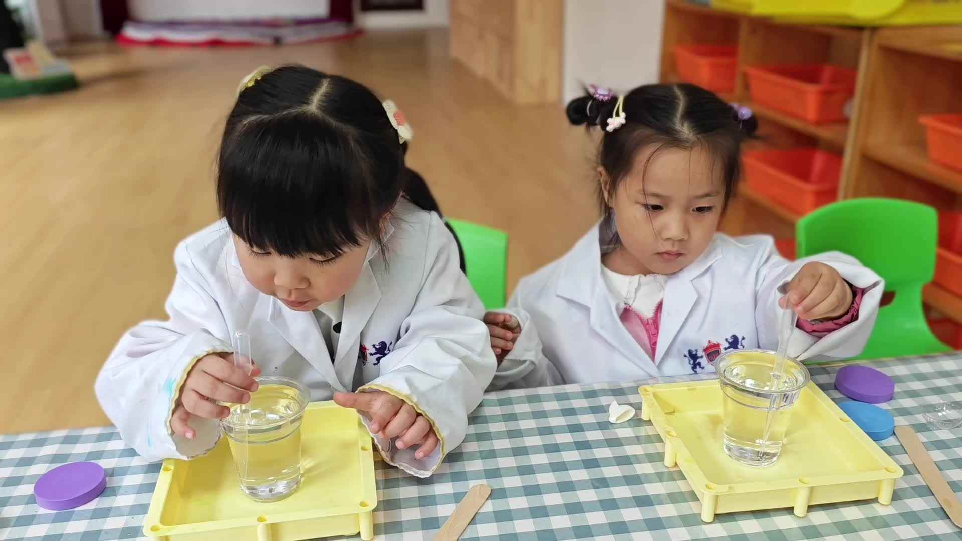 科学实验《水胶水》.mp4