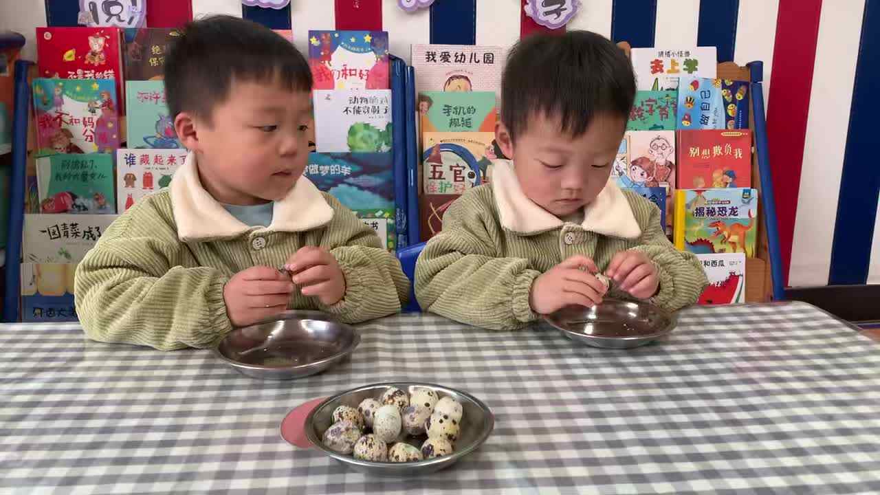 2026 4 2刘佳铭and刘佳锐《剥鹌鹑蛋》学前教育练习