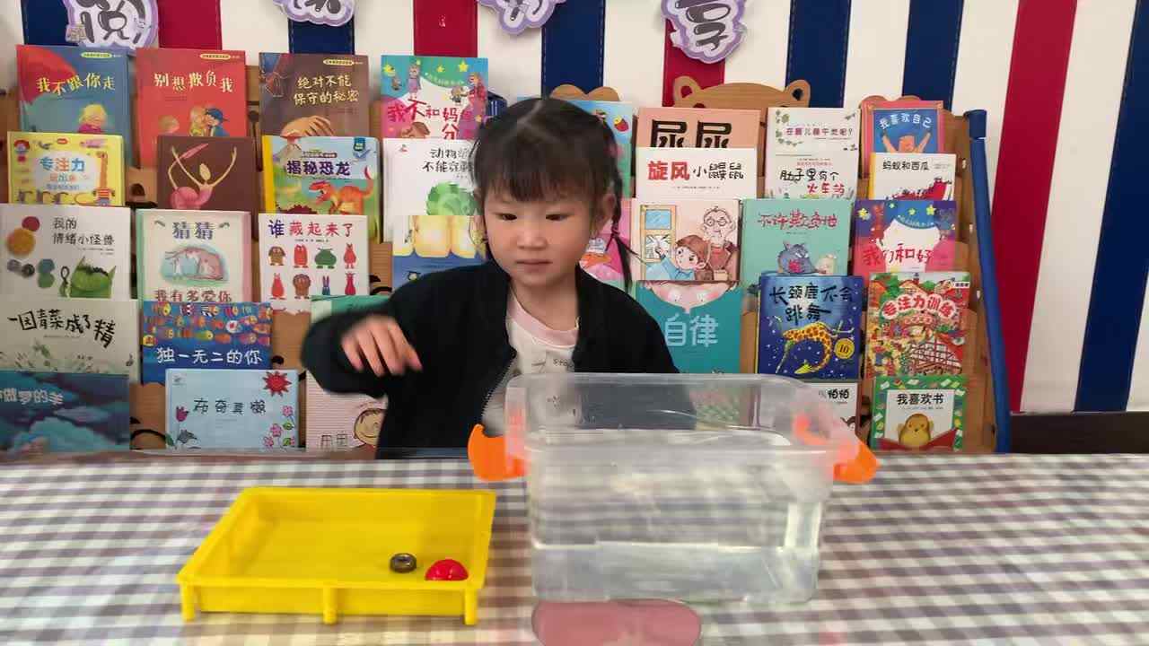 2026年4月13日    科学实验《沉与浮》学校教育教学活动