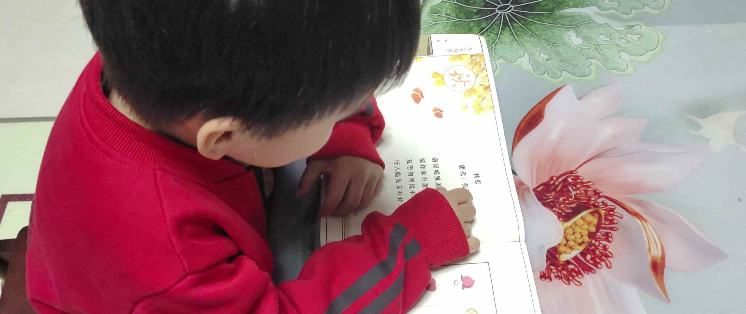 ⁣⁣大A班2026.4.1李柯佑指读诗歌.mp4