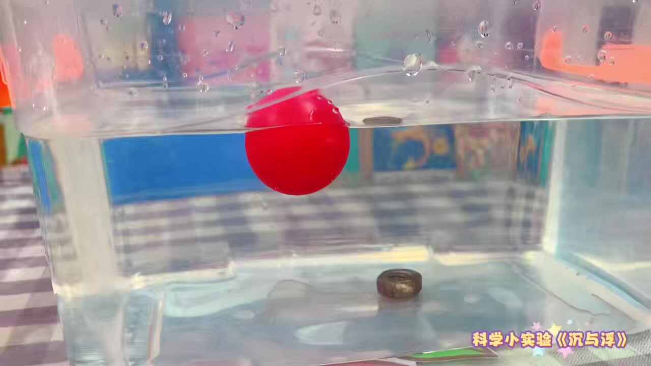 科学课堂：感知沉与浮.mp4