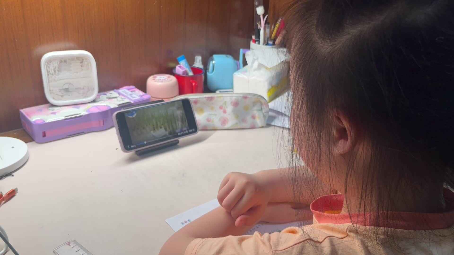 4.24学前A班赵欣奕观看袁隆平生平介绍视频