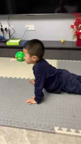 练习小海豚拉伸