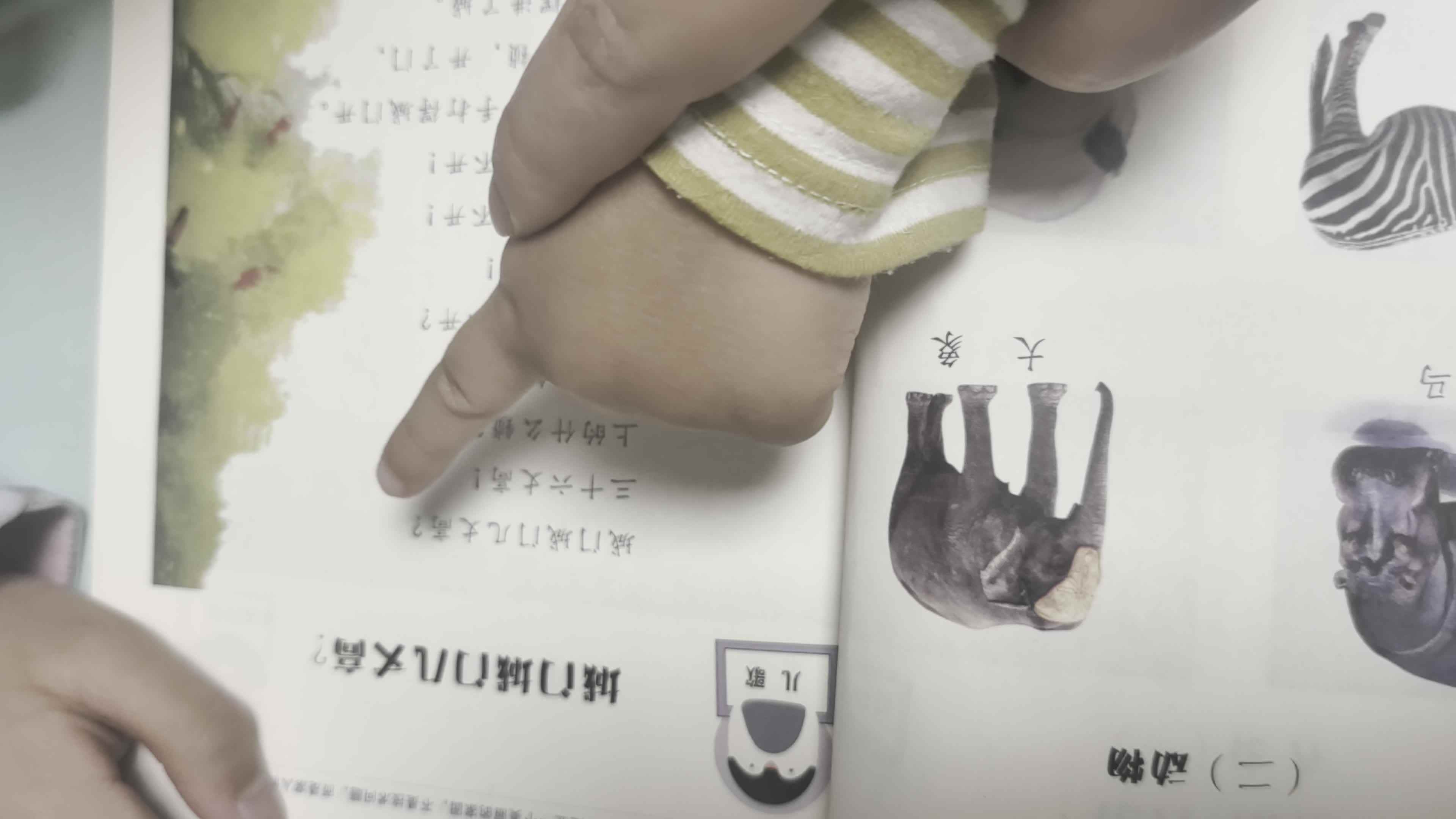 26.4.13 李君祁 指读《城门城门几丈高》学校教育教学活动