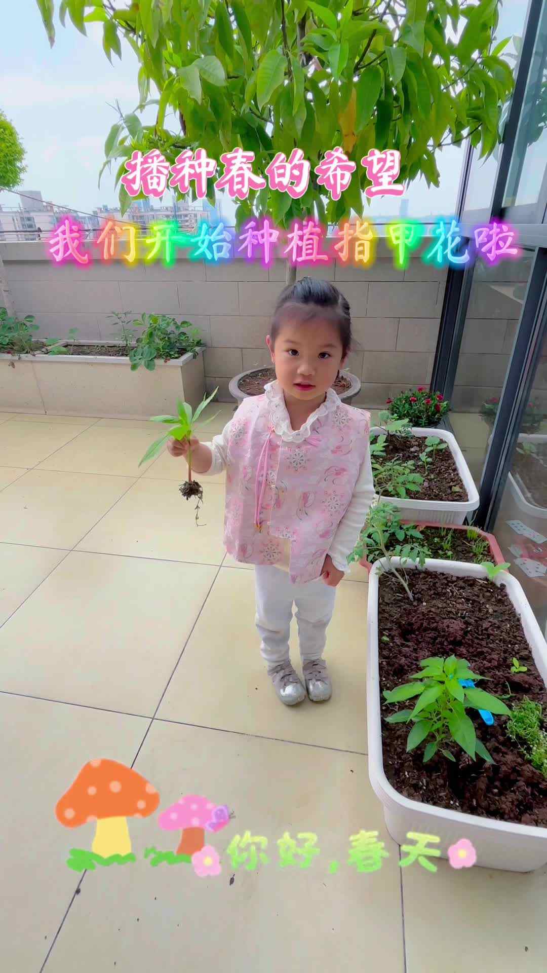 copy_D8F16245-F474-48BC-A20C-BD95F8AA82DE.mov