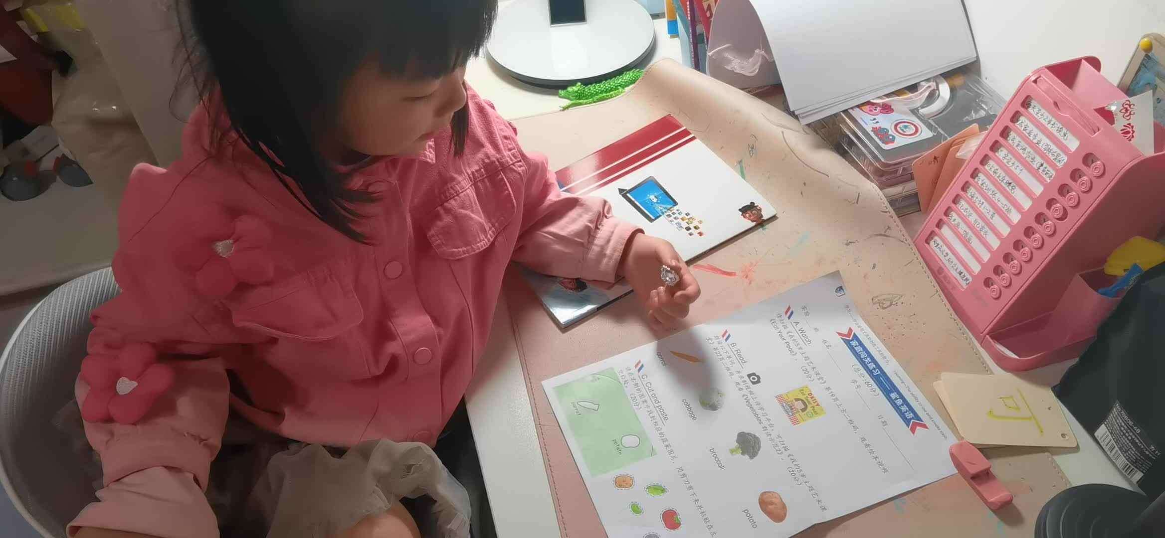 实验大班马司雨复习英语