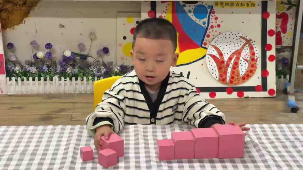 2026.4.13实验小班9号胡舒阳—粉红塔