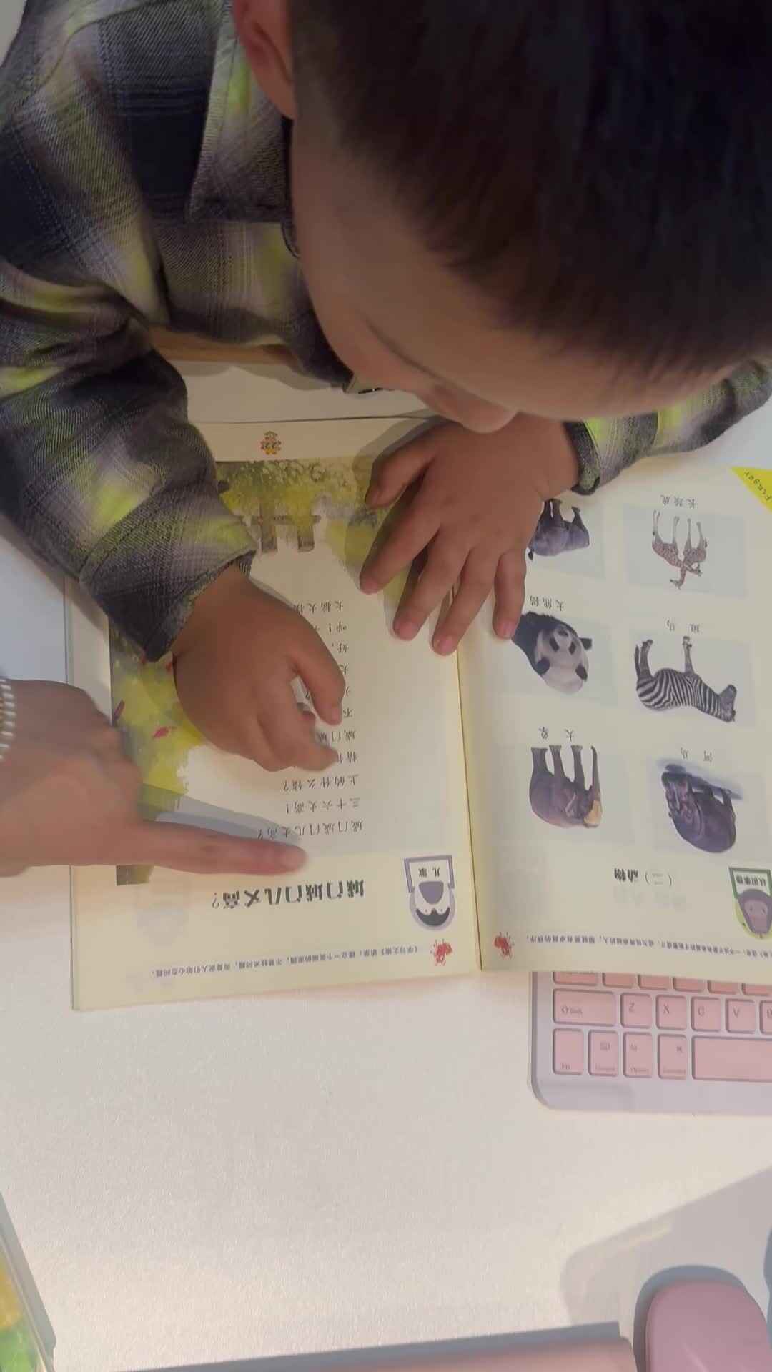 实验小班3号谢缙宇