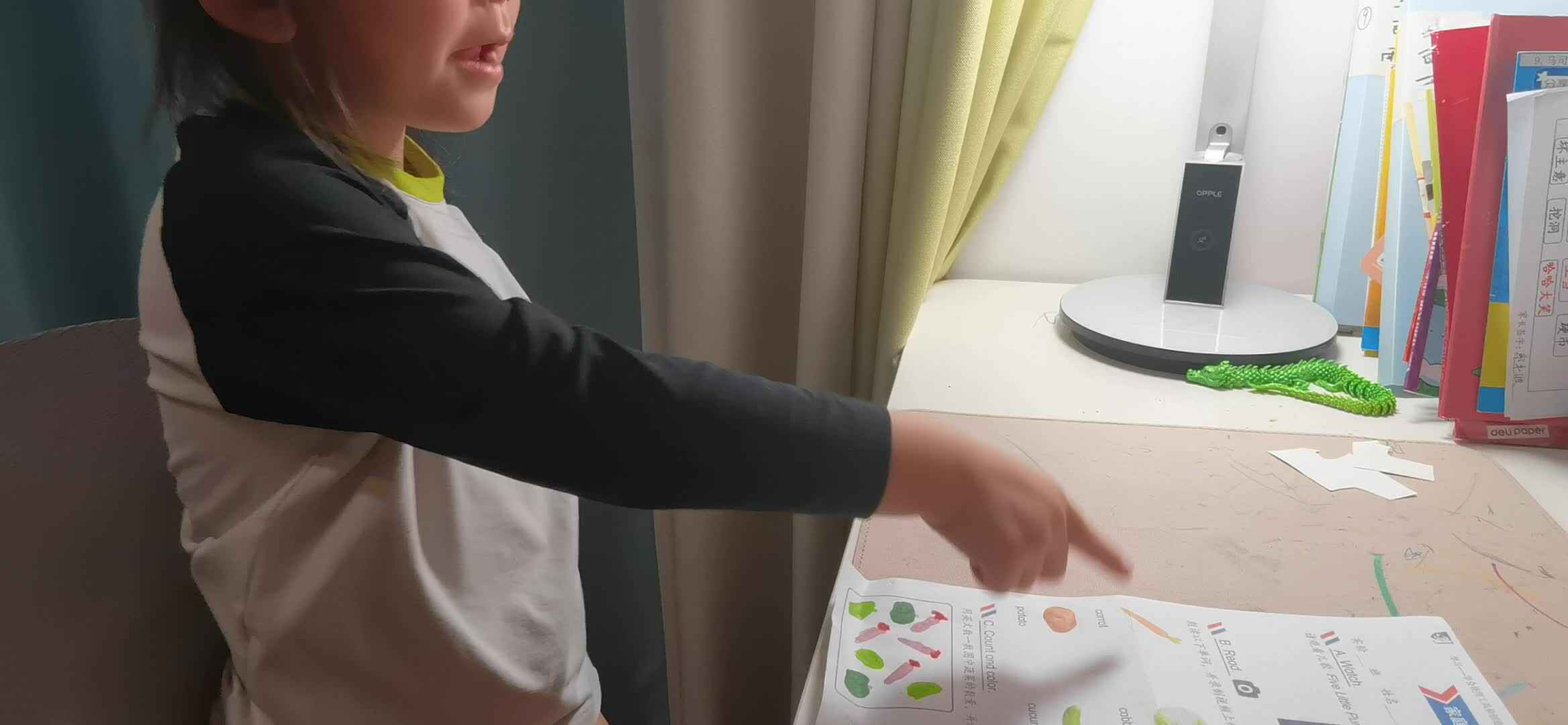 实验大班马司雨复习英语