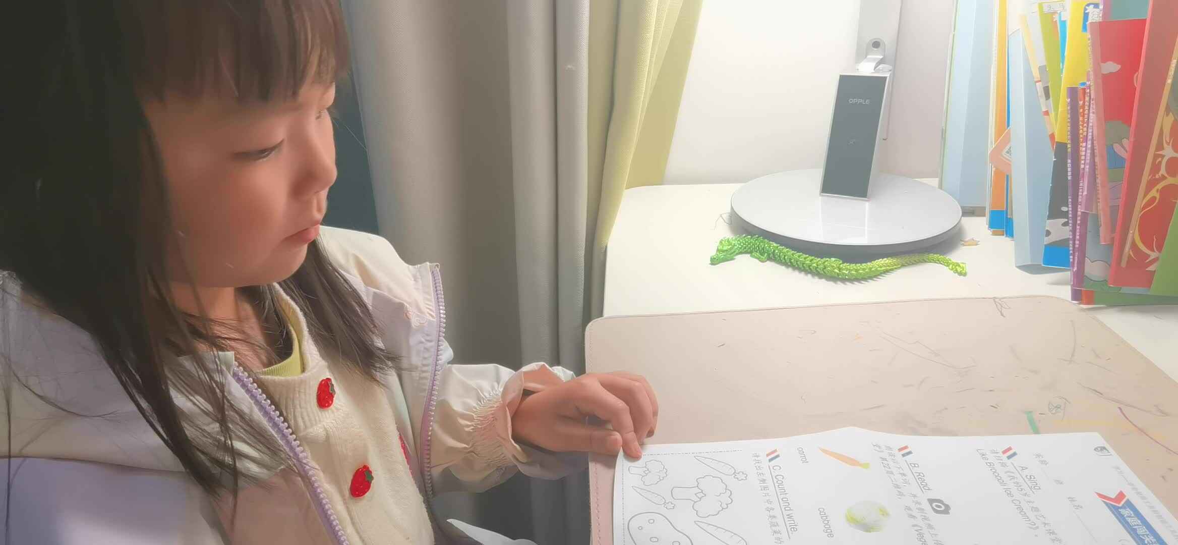 实验大班马司雨复习英语